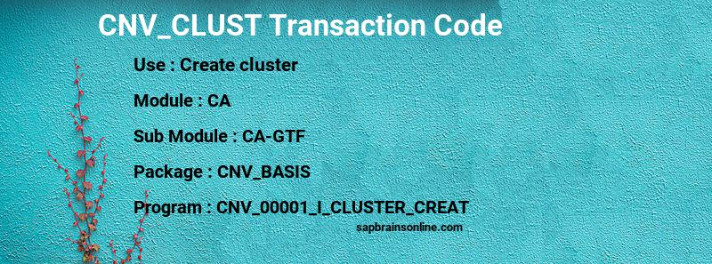 SAP CNV_CLUST transaction code