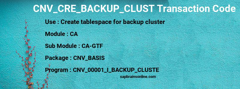 SAP CNV_CRE_BACKUP_CLUST transaction code