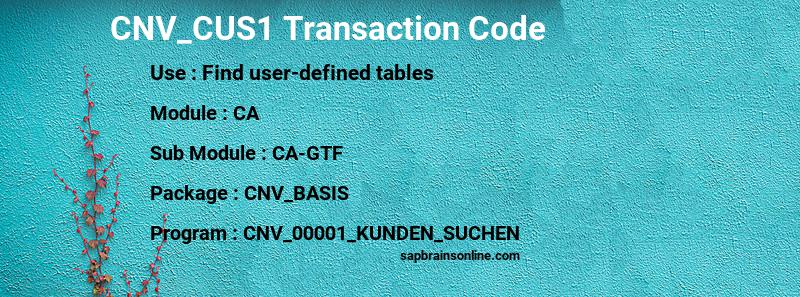 SAP CNV_CUS1 transaction code