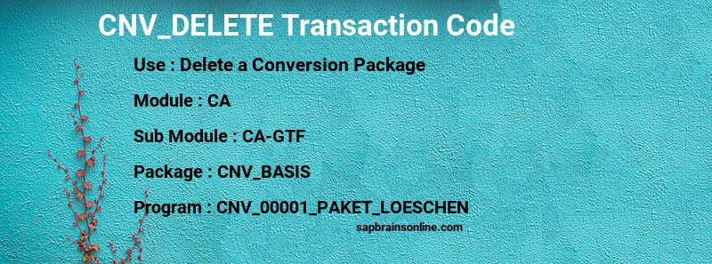 SAP CNV_DELETE transaction code