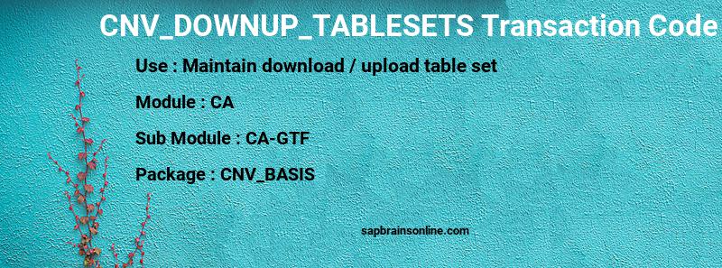 SAP CNV_DOWNUP_TABLESETS transaction code