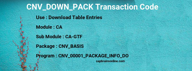 SAP CNV_DOWN_PACK transaction code