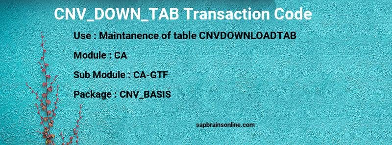 SAP CNV_DOWN_TAB transaction code