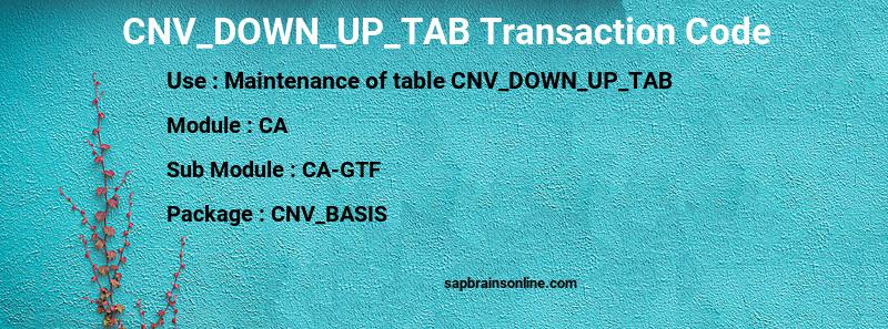 SAP CNV_DOWN_UP_TAB transaction code