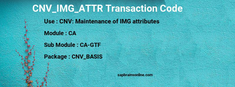 SAP CNV_IMG_ATTR transaction code