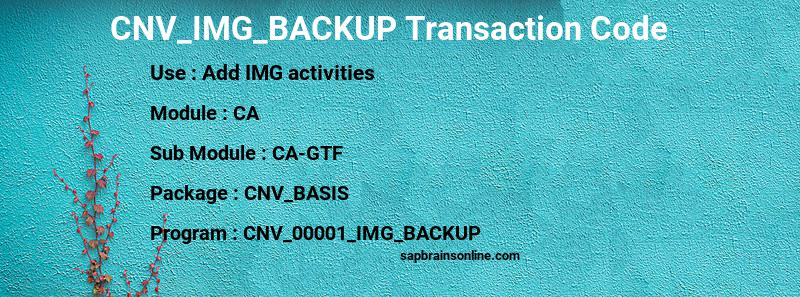 SAP CNV_IMG_BACKUP transaction code