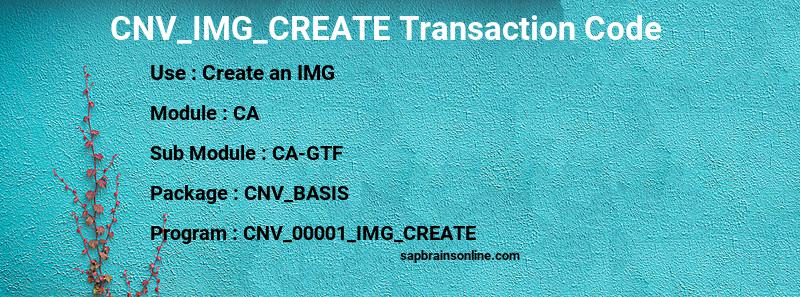 SAP CNV_IMG_CREATE transaction code