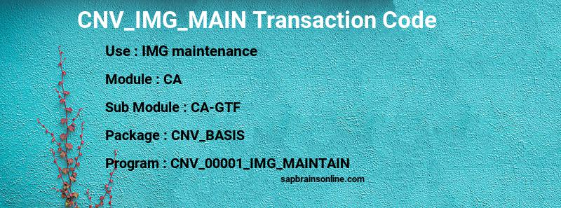 SAP CNV_IMG_MAIN transaction code