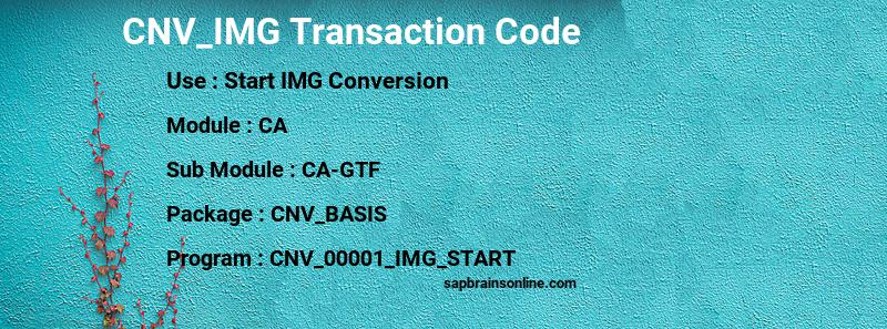 SAP CNV_IMG transaction code