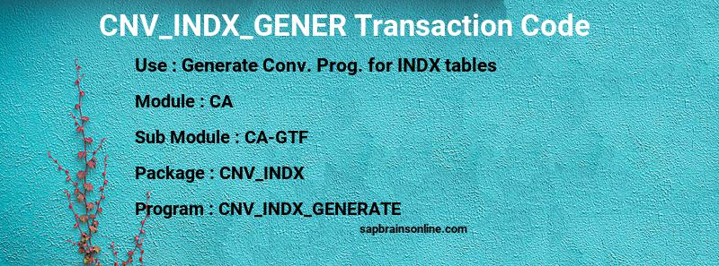 SAP CNV_INDX_GENER transaction code