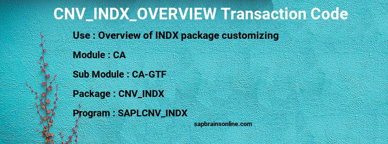 SAP CNV_INDX_OVERVIEW transaction code