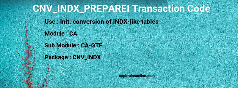 SAP CNV_INDX_PREPAREI transaction code