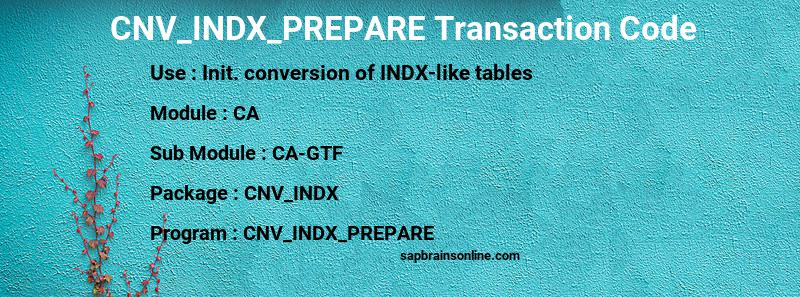 SAP CNV_INDX_PREPARE transaction code