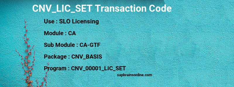 SAP CNV_LIC_SET transaction code