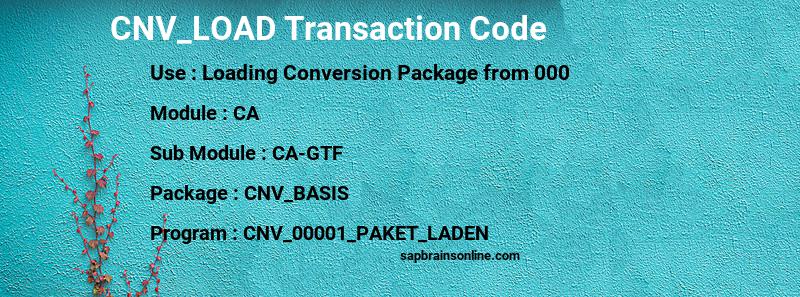 SAP CNV_LOAD transaction code