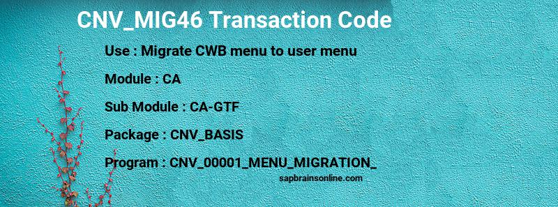 SAP CNV_MIG46 transaction code