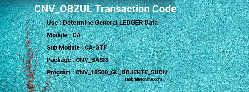 SAP CNV_OBZUL transaction code
