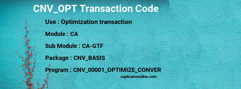 SAP CNV_OPT transaction code