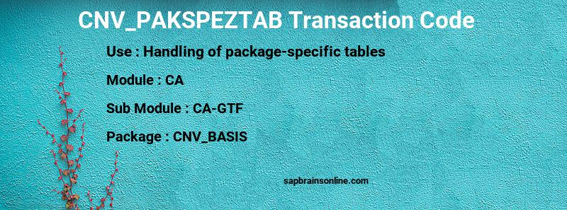 SAP CNV_PAKSPEZTAB transaction code