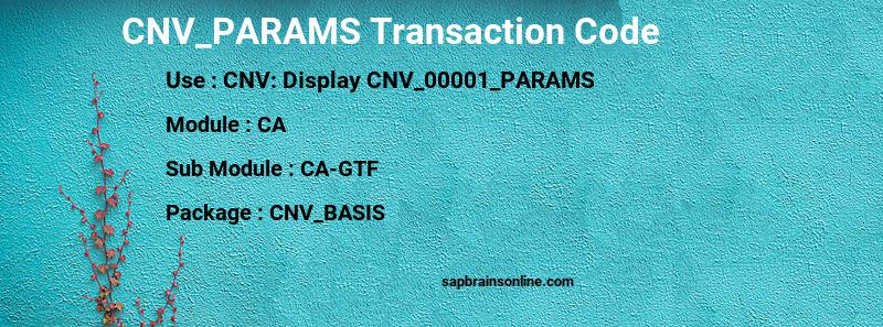 SAP CNV_PARAMS transaction code