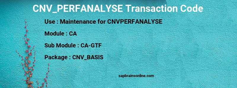 SAP CNV_PERFANALYSE transaction code