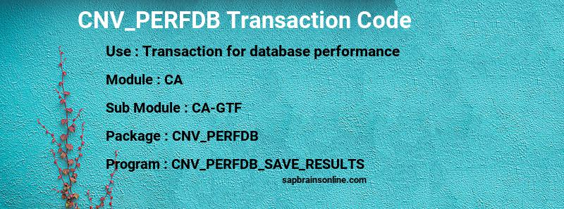 SAP CNV_PERFDB transaction code