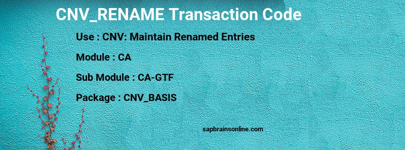 SAP CNV_RENAME transaction code