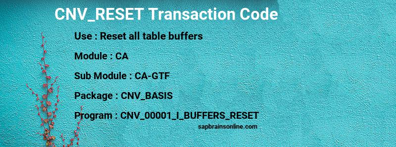 SAP CNV_RESET transaction code