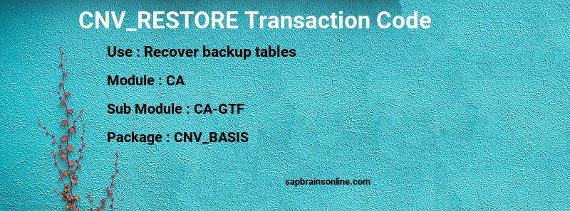 SAP CNV_RESTORE transaction code