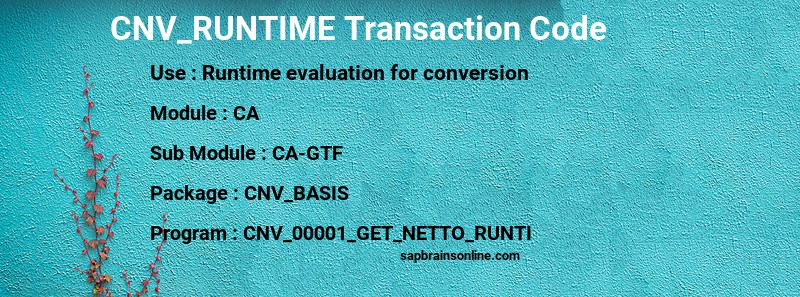 SAP CNV_RUNTIME transaction code