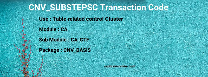 SAP CNV_SUBSTEPSC transaction code