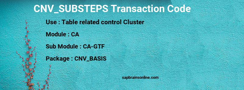 SAP CNV_SUBSTEPS transaction code