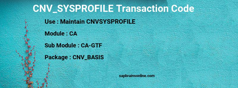 SAP CNV_SYSPROFILE transaction code
