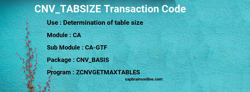SAP CNV_TABSIZE transaction code