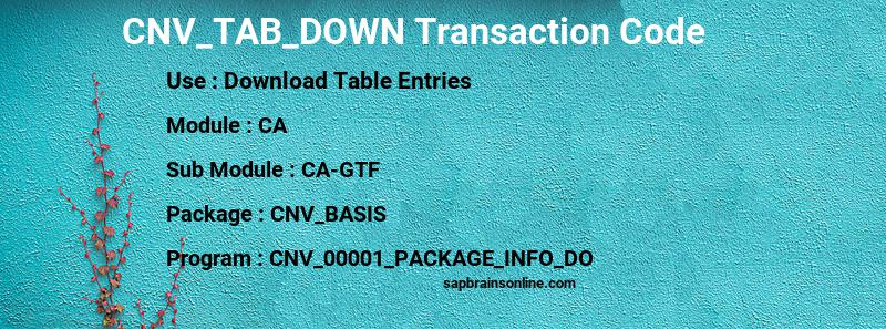 SAP CNV_TAB_DOWN transaction code