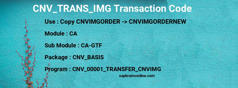 SAP CNV_TRANS_IMG transaction code