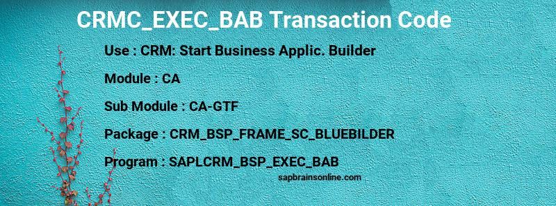 SAP CRMC_EXEC_BAB transaction code