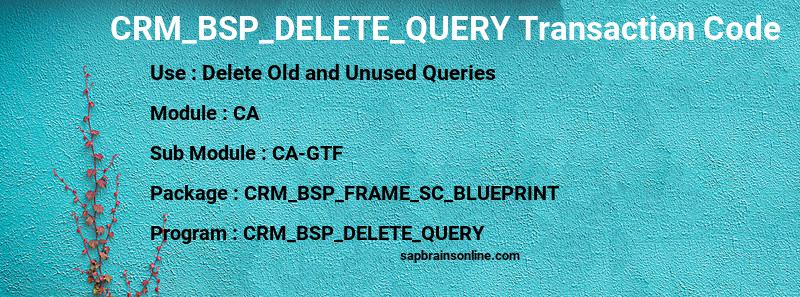 SAP CRM_BSP_DELETE_QUERY transaction code
