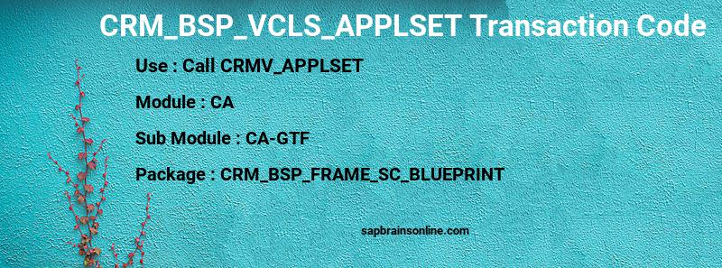 SAP CRM_BSP_VCLS_APPLSET transaction code