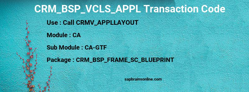 SAP CRM_BSP_VCLS_APPL transaction code
