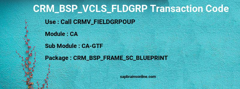SAP CRM_BSP_VCLS_FLDGRP transaction code