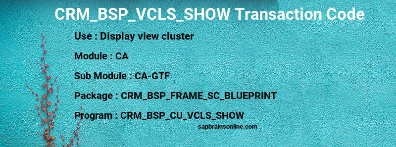 SAP CRM_BSP_VCLS_SHOW transaction code