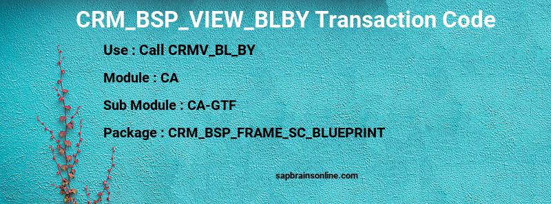 SAP CRM_BSP_VIEW_BLBY transaction code