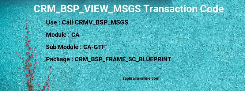 SAP CRM_BSP_VIEW_MSGS transaction code