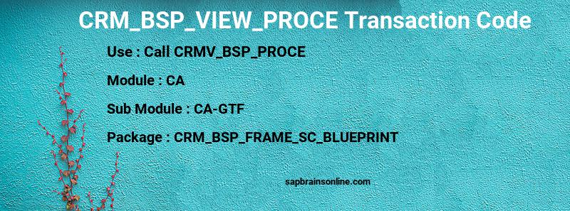 SAP CRM_BSP_VIEW_PROCE transaction code