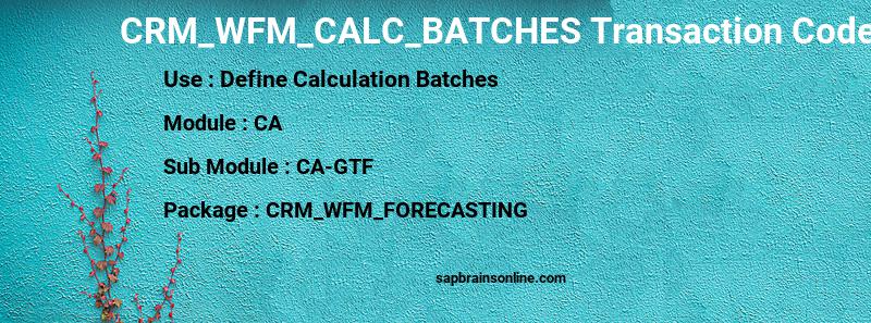 SAP CRM_WFM_CALC_BATCHES transaction code