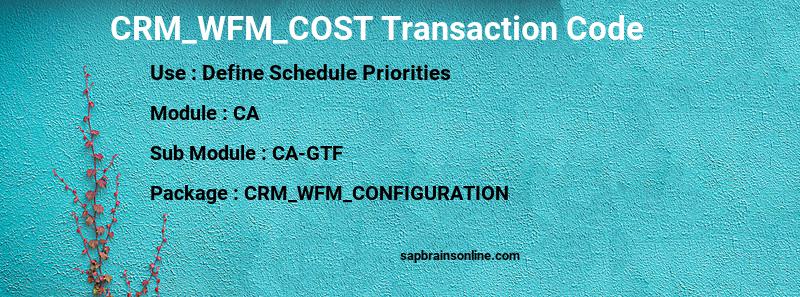 SAP CRM_WFM_COST transaction code