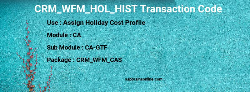 SAP CRM_WFM_HOL_HIST transaction code