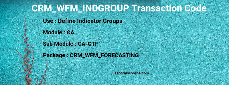 SAP CRM_WFM_INDGROUP transaction code