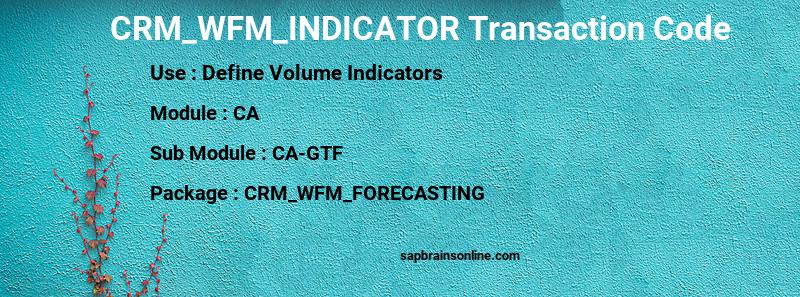 SAP CRM_WFM_INDICATOR transaction code